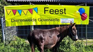 Gouda Goverwelle - Nieuws - Dierenweide - Nazomerfeest bij de Dierenweide Goverwelle